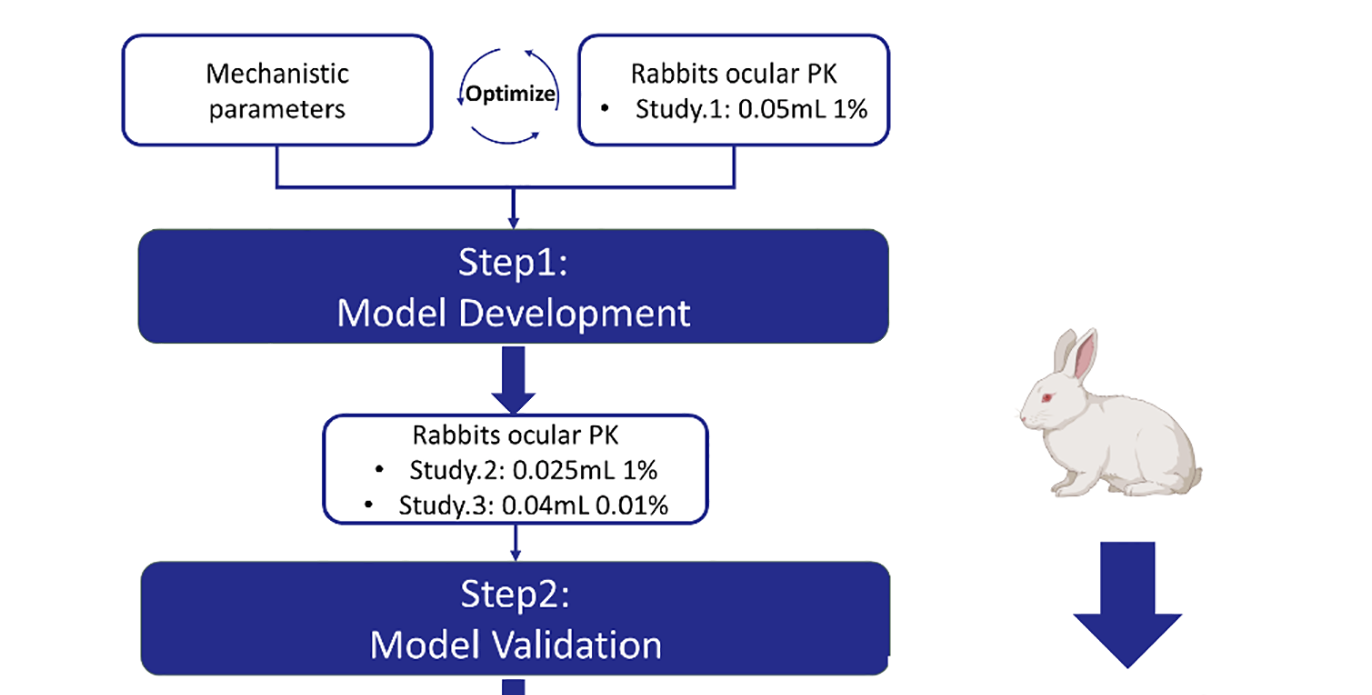 文章推薦 | 基于生理藥動學模型預測阿托品局部給藥的眼部暴露